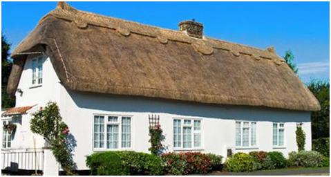 THATCH ROOFING